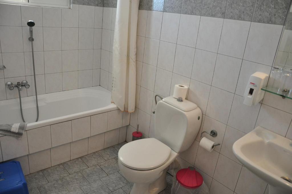 Hotel Flisvos 2*